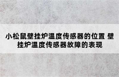 小松鼠壁挂炉温度传感器的位置 壁挂炉温度传感器故障的表现